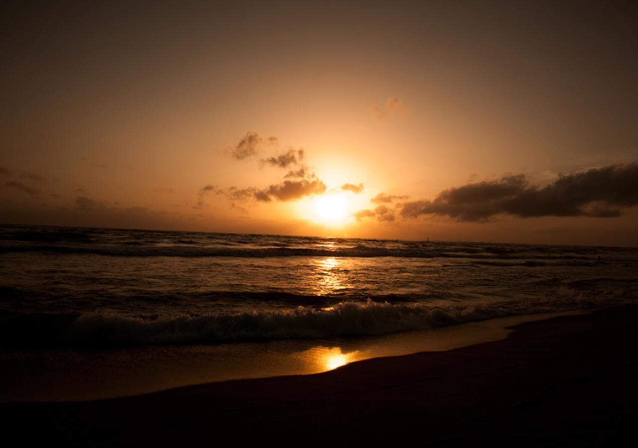 Colombo Lavinia Beach Hostel Dehiwala-Mount Lavinia Εξωτερικό φωτογραφία